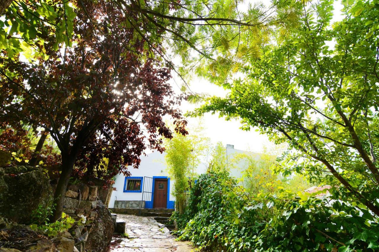 Vila Moinho Da Capela Campo Maior Exteriér fotografie