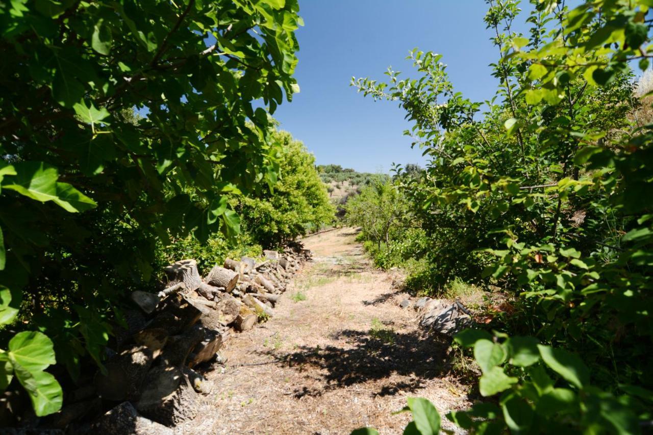 Vila Moinho Da Capela Campo Maior Exteriér fotografie